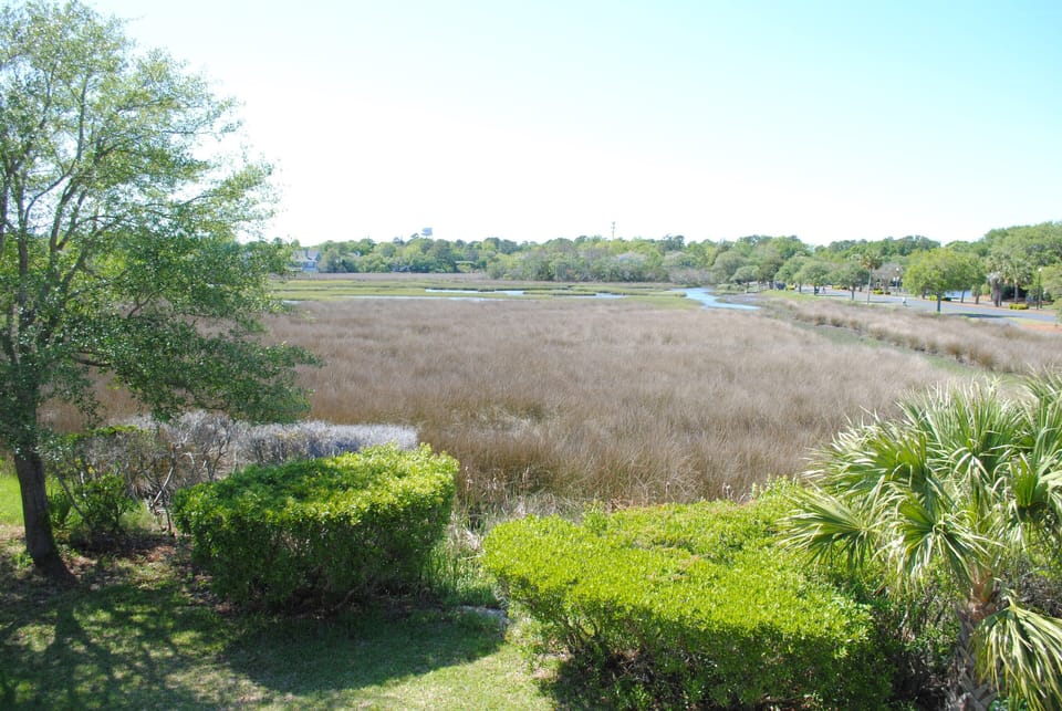 View from Sun Deck