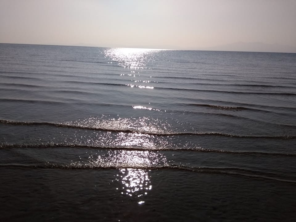 Image 30