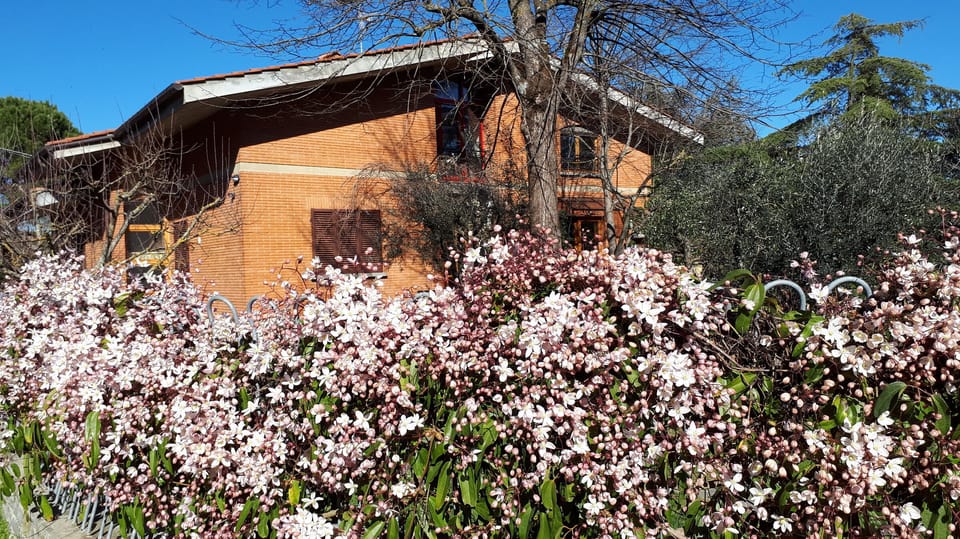 Villa Giulia