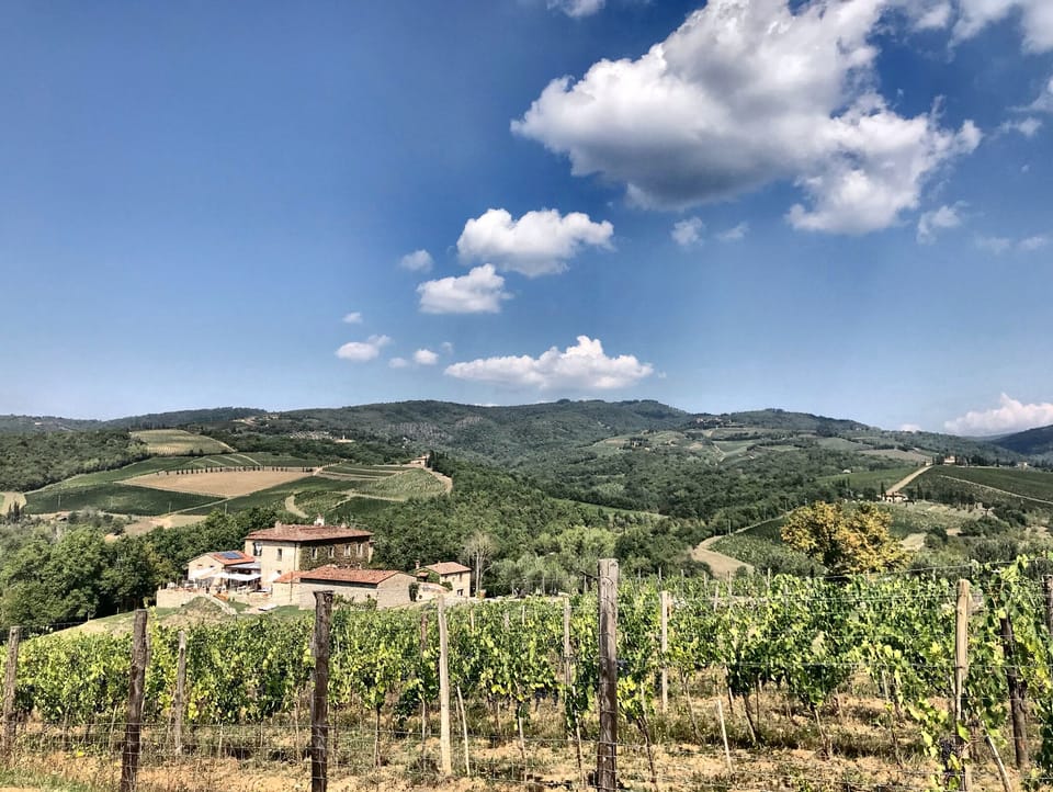 Vineyards