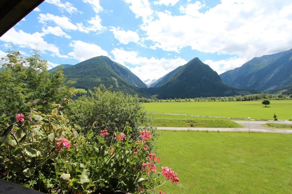 View from Holiday Home [summer]