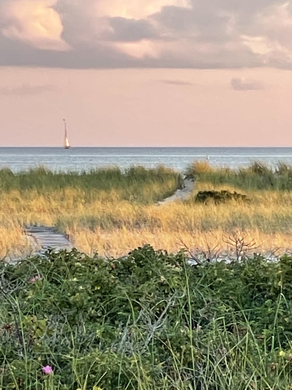 You can dream about sailing while relaxing in our quiet setting.