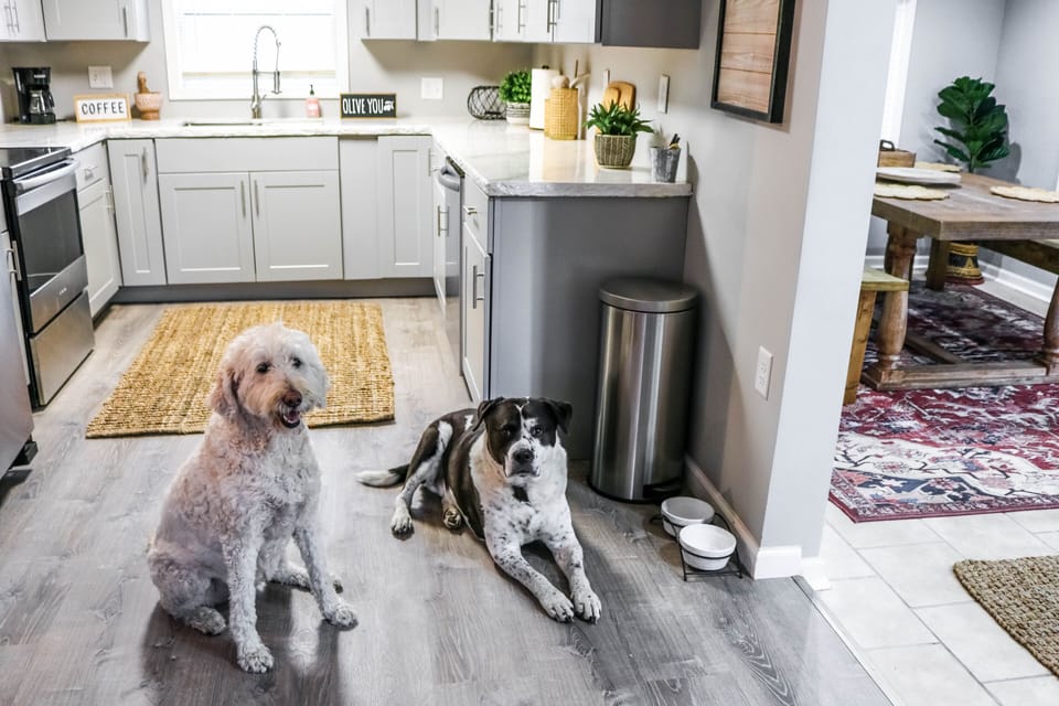 We are big dog people, so Fido is welcome on your vacation! 