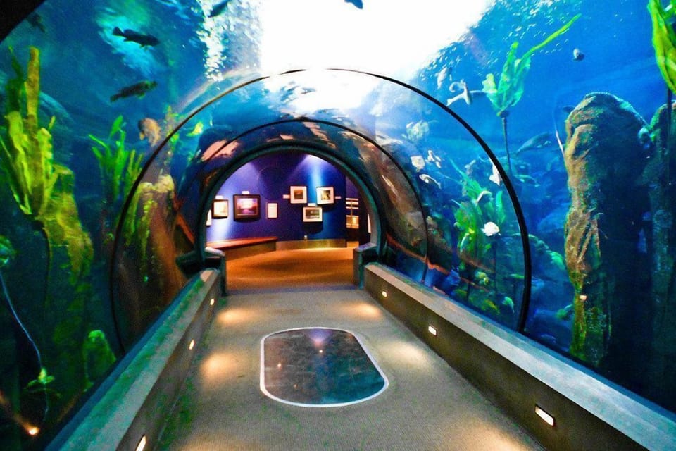 The Oregon Coast Aquarium is a wonderful place to spend the day.