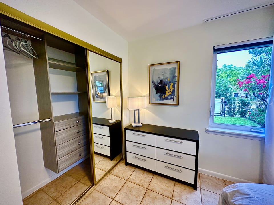 Closet organizer and dresser. Remote controlled lighting.