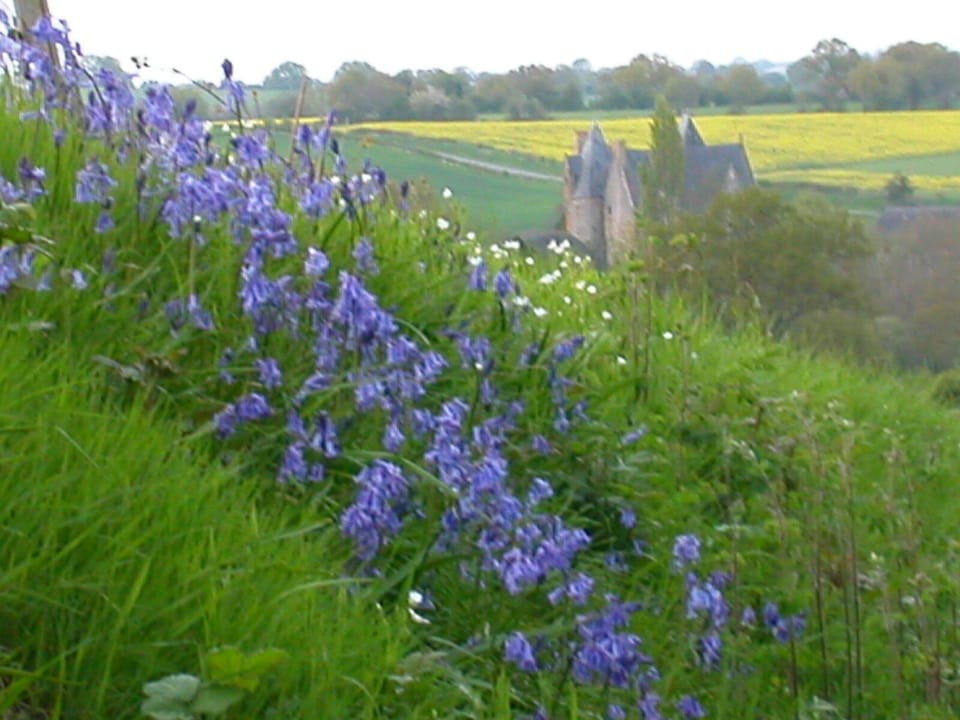 The Manor, next door, in the Spring.