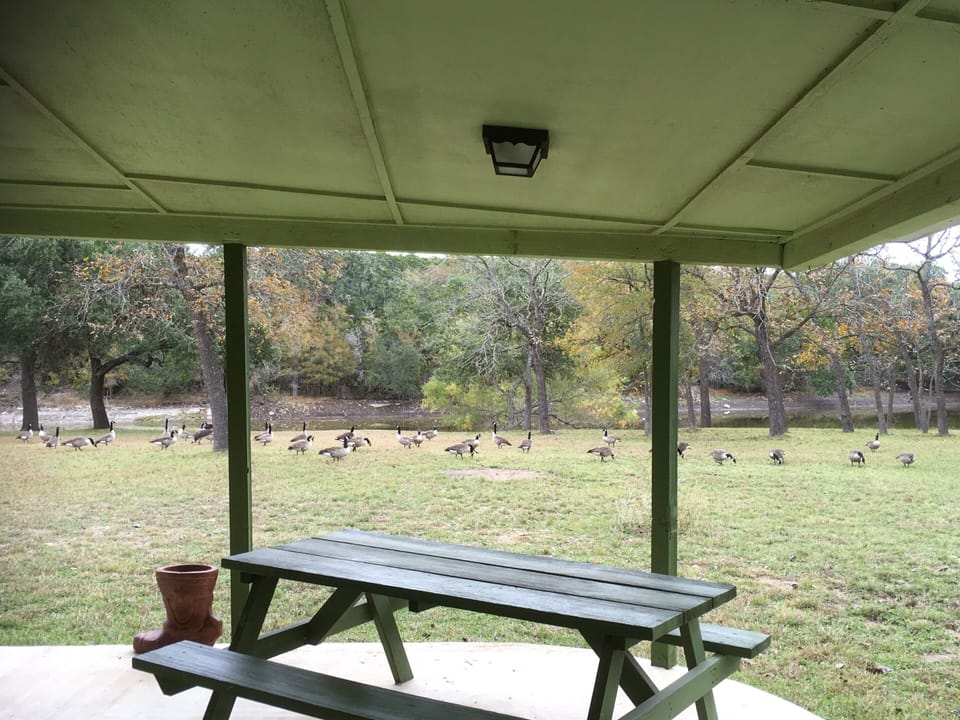Wrap around back porch.