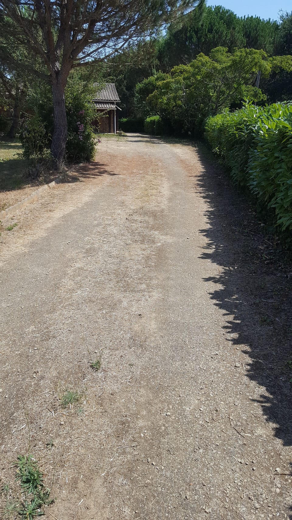 Property grounds