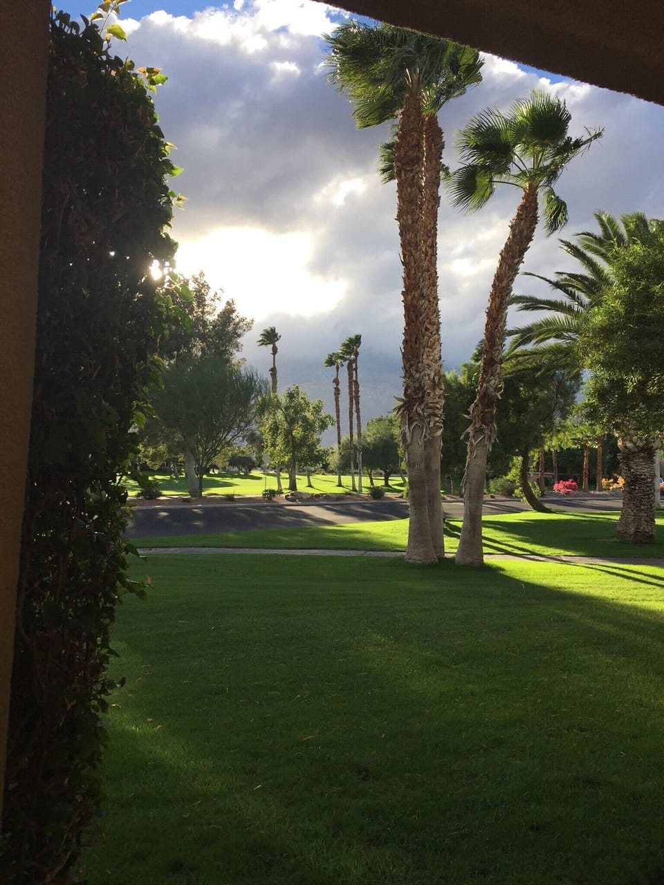 Stunning golf course views