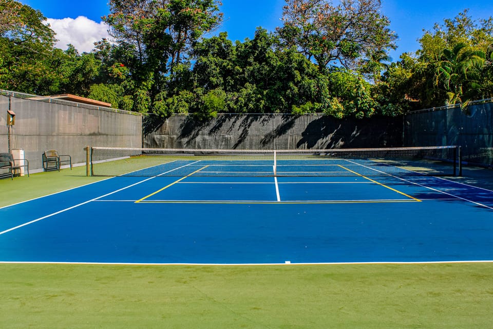 Sport court