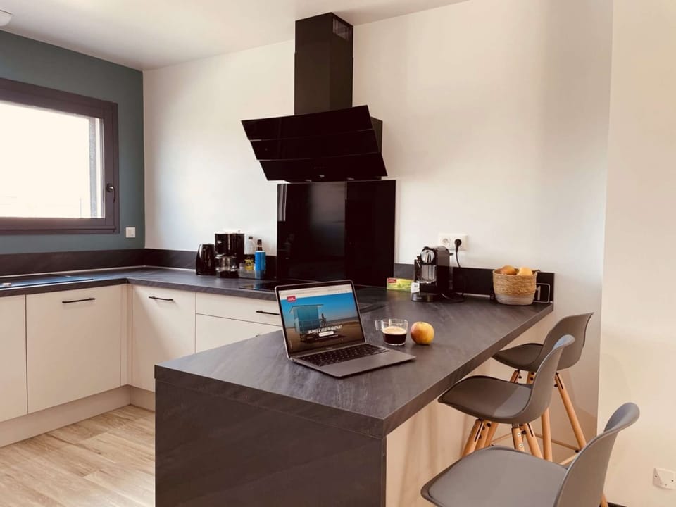 Fully equipped kitchen: dishwasher, refrigerator, induction cooker, oven, microwave, etc...