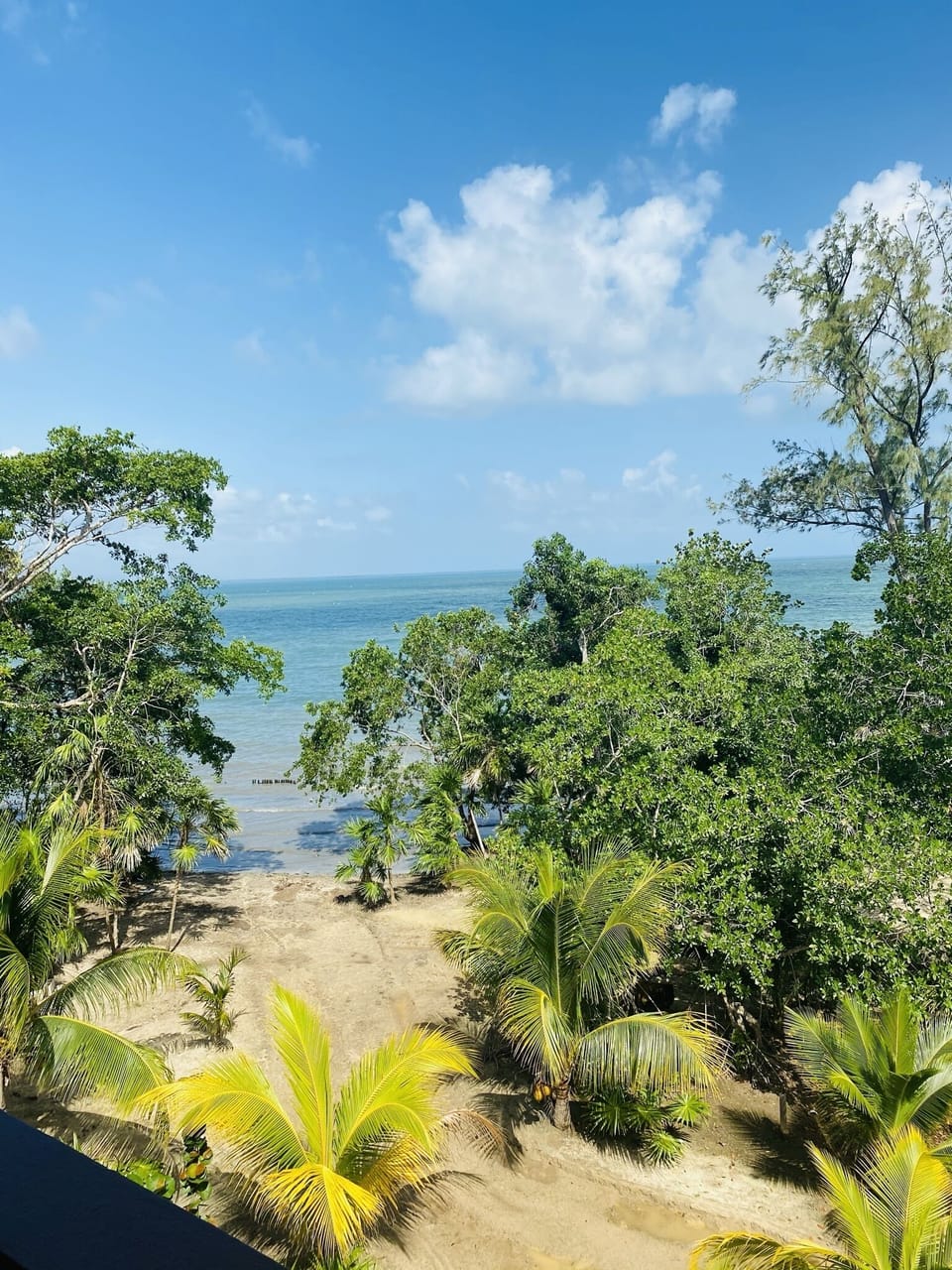 Beach view