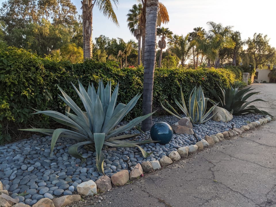 Landscape leading up to the property