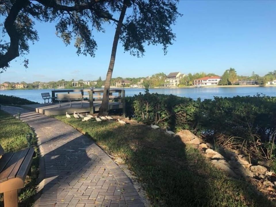 pathway