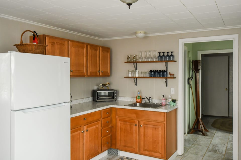 Brand new fridge in renovated kitchen. 