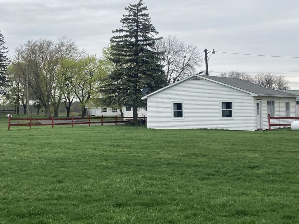 A large yard to play in next to the Cottage. 