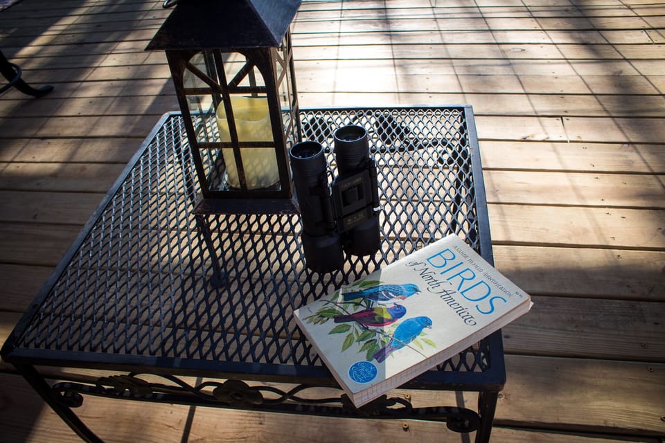 It is a bird watchers paradise. We even provide binoculars and a bird book. 