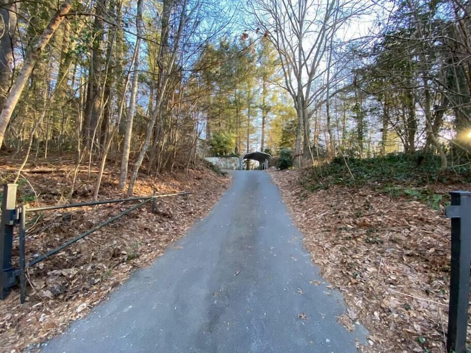 View of the bottom of the driveway.