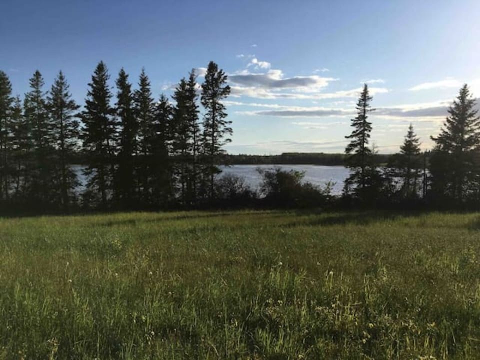 View from back yard.