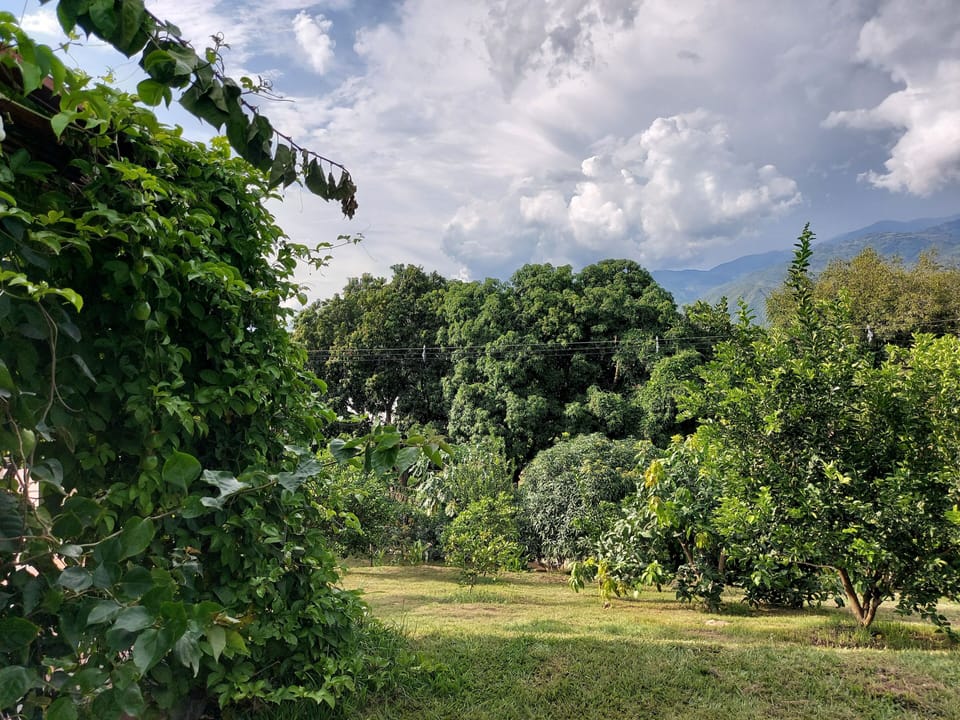 Property grounds