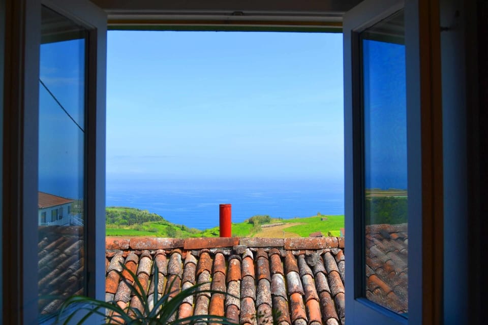 View from the window