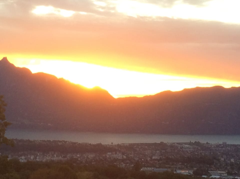 View from property