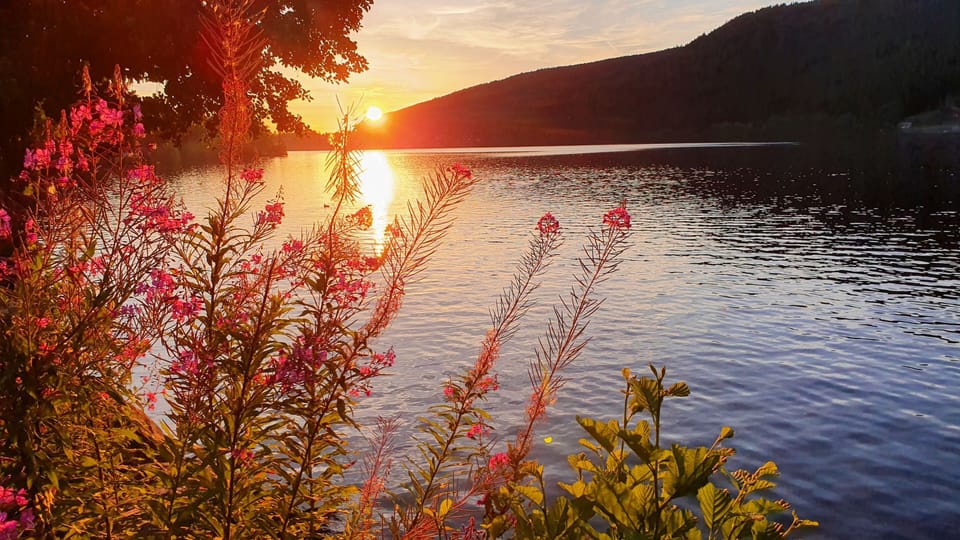 Vue Lac, Superbe Appart Chaleureux & Reposant Apartment in Gérardmer