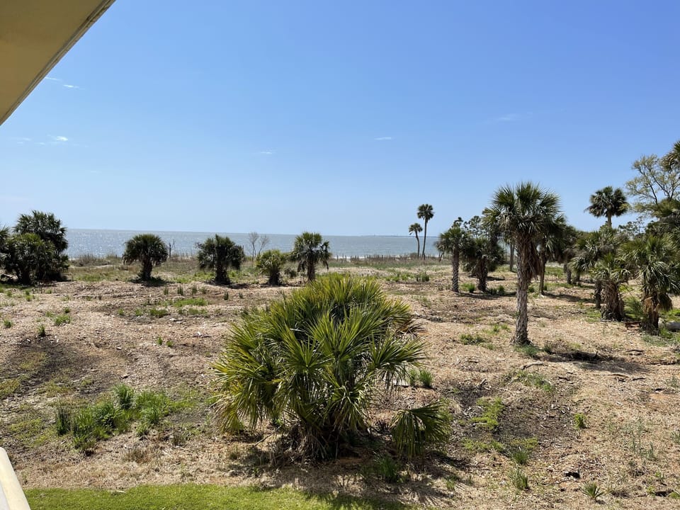 View from Balcony