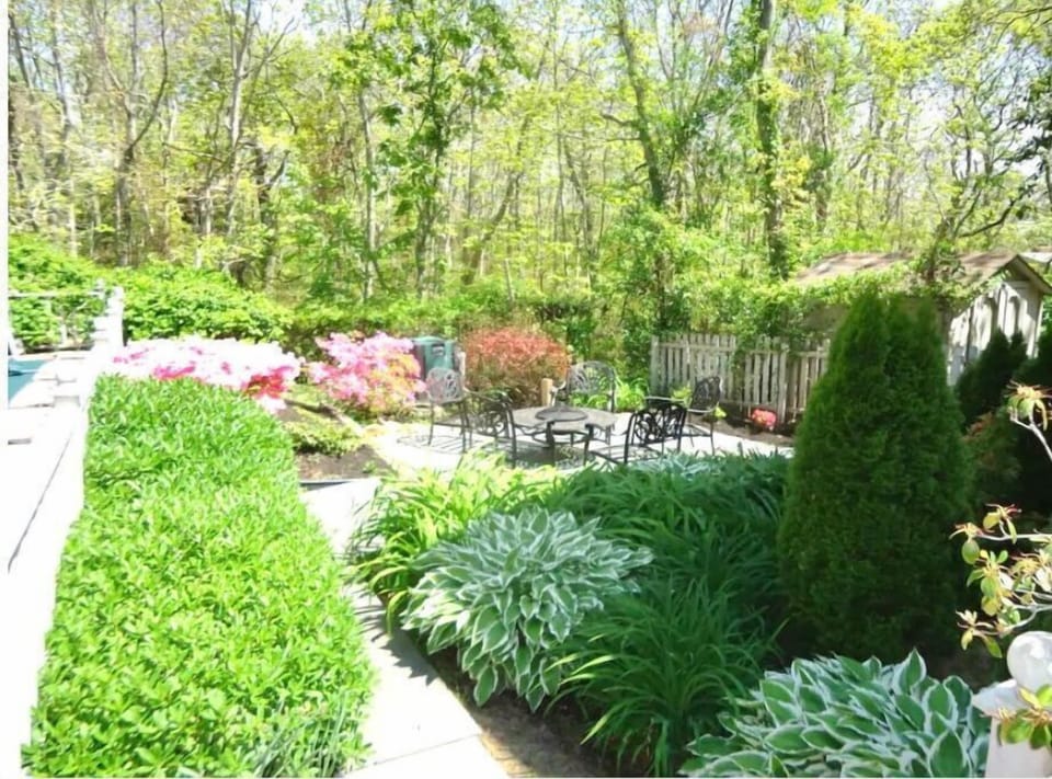 Fire pit area