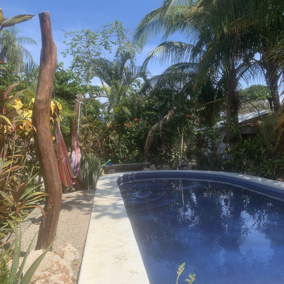 Our pool, surrounded by local fauna features 2 hammocks to help you unwind.