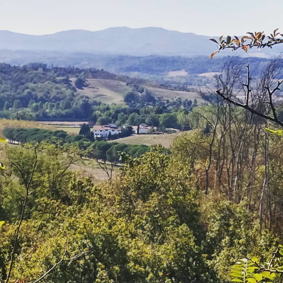 Outdoor, Scenic View