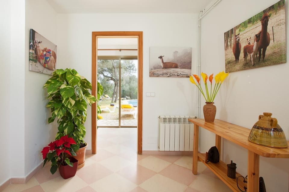 Living area. Eingangsbereich