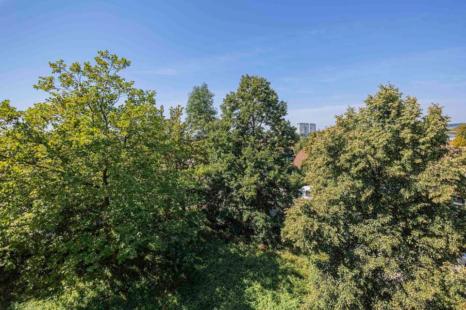 Garden view