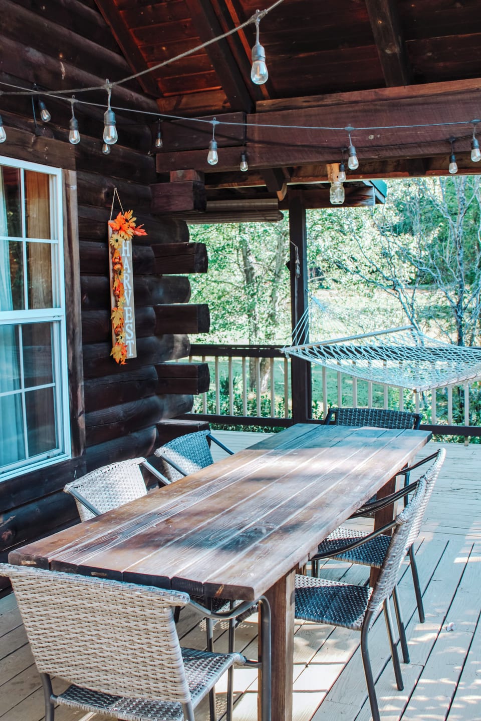 Back patio 