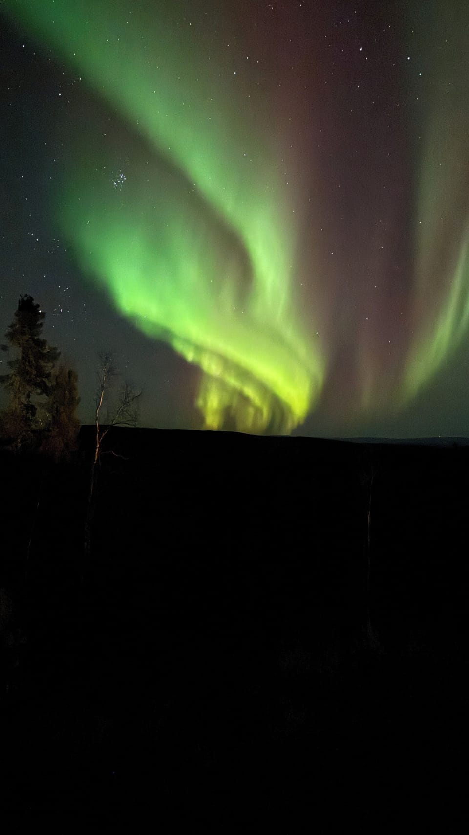 Northern Lights from the house!