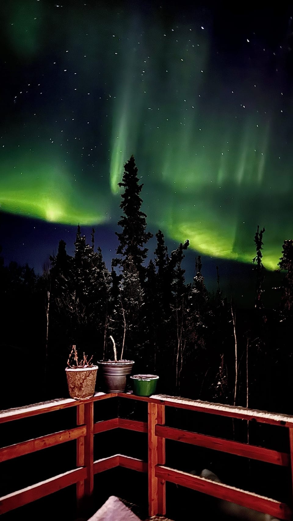 Northern Lights!