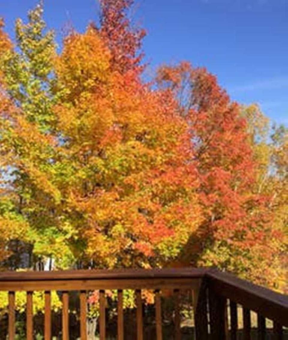 The back deck in Vermont's fall