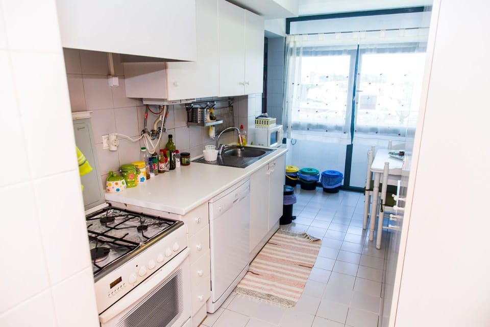 Kitchen area. Kitchen with gas oven, eletric stove, dishwashing machine.