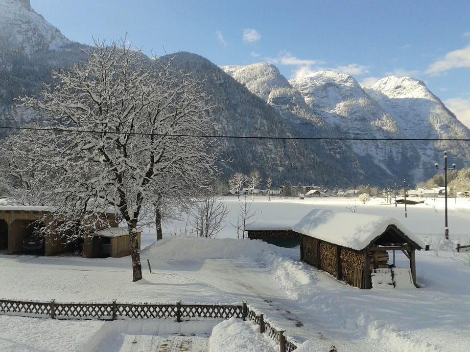 View from the window