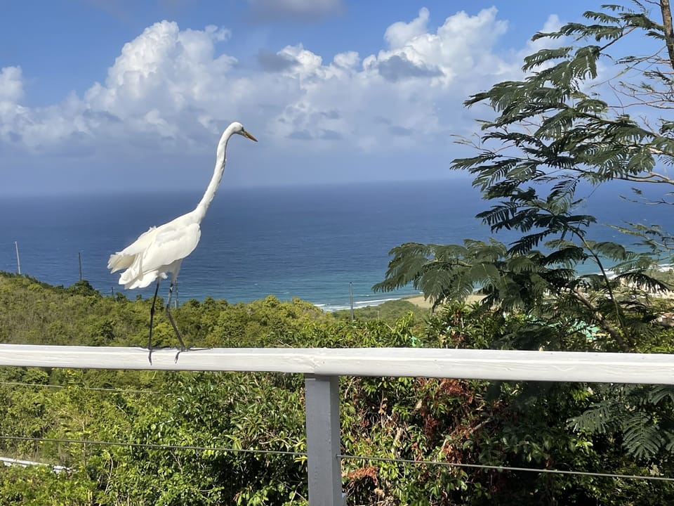 View from property