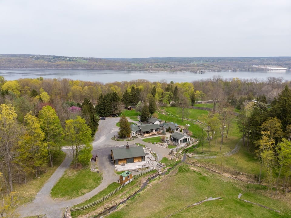 Overhead view of New Park