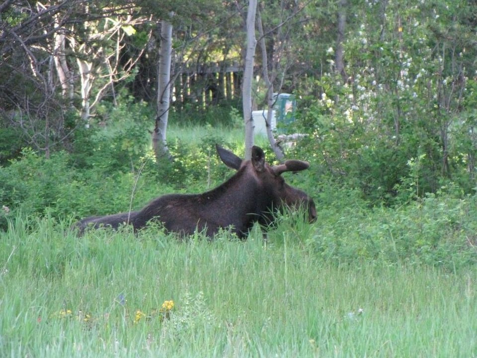 You never know what you might see when walking the property.