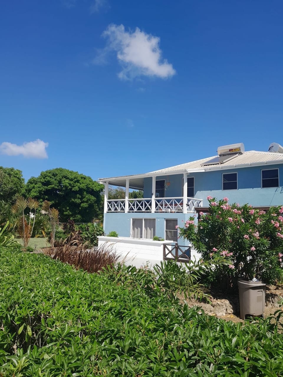 View from front garden