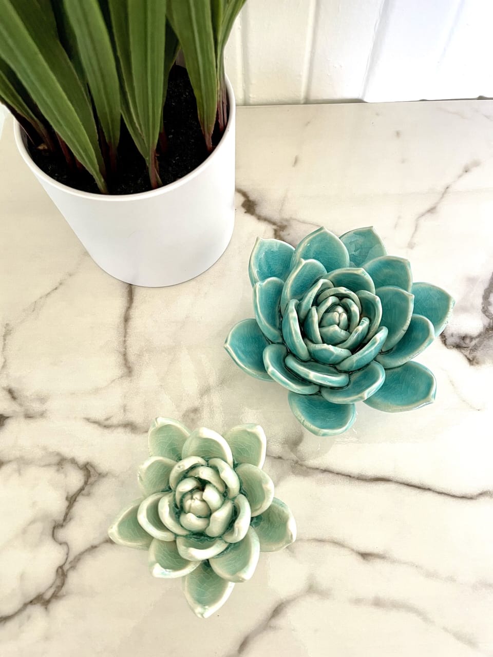 Bright Arizona details.