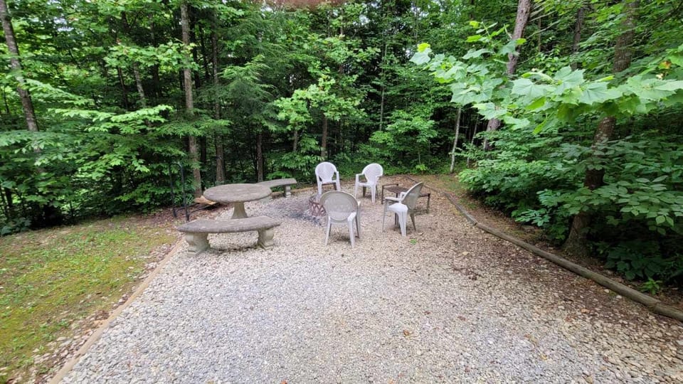 Around the wood fire pit