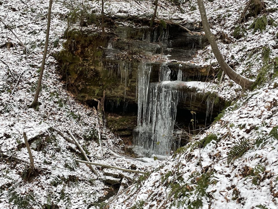 Another picture from private trail