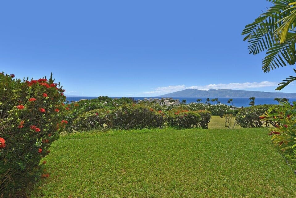 Open lawn area showcasing sweeping ocean views and lush tropical scenery.