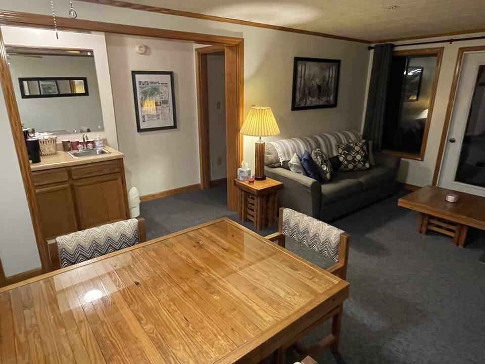 Coffee Wet Bar, Sleeper Sofa, and Dining Area