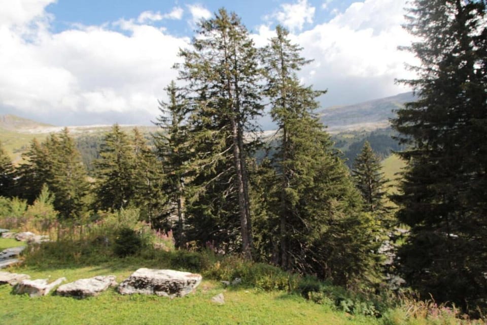 Surroundings [summer] (1-5 km)