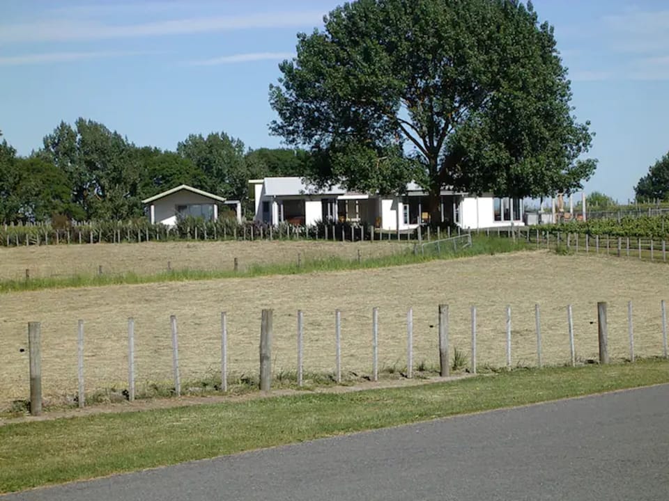 'Home' from the vineyard road
